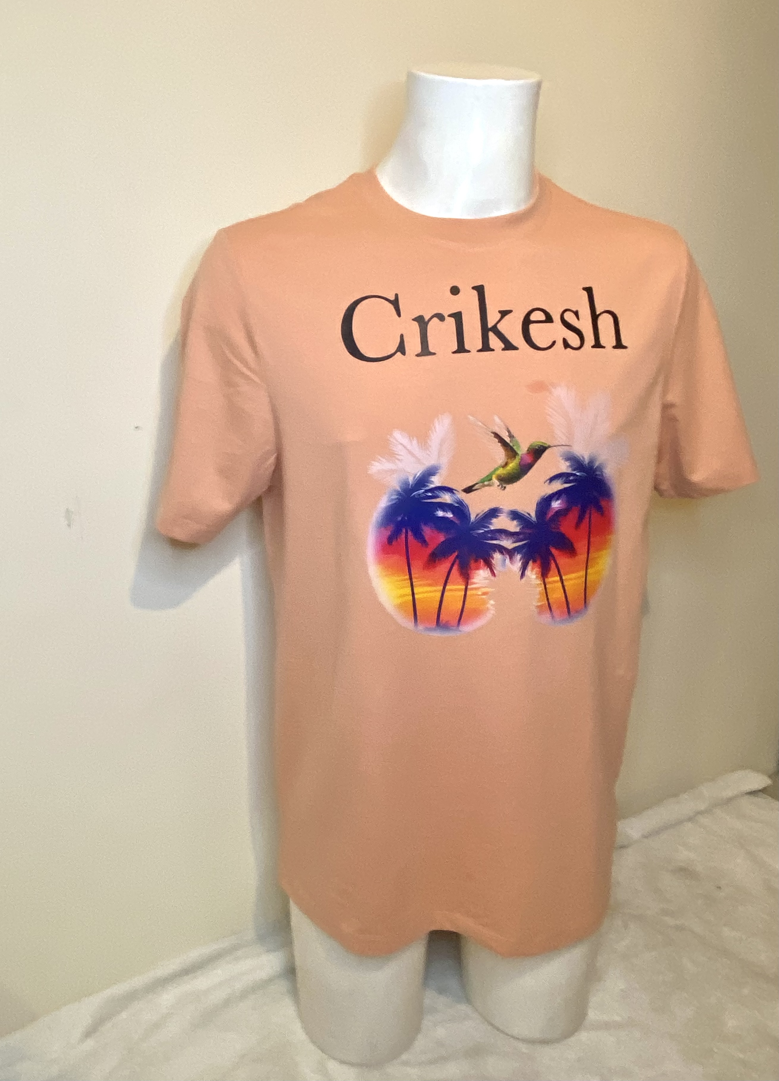 Crikesh humming bird